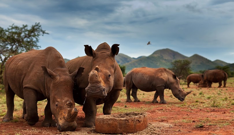 South Africa